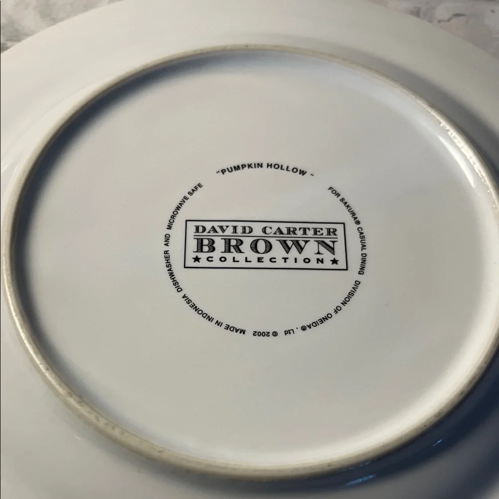 David Carter Brown pumpkin Hollow set of 2 Pumpkin Plates Halloween black cat